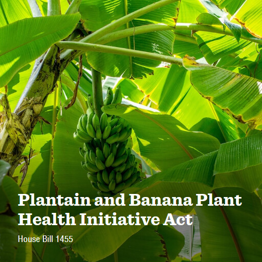 H.R.1455 118 Plantain and Banana Plant Health Initiative Act
