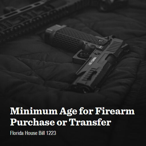 FL HB1223 2024 Minimum Age for Firearm Purchase or Transfer