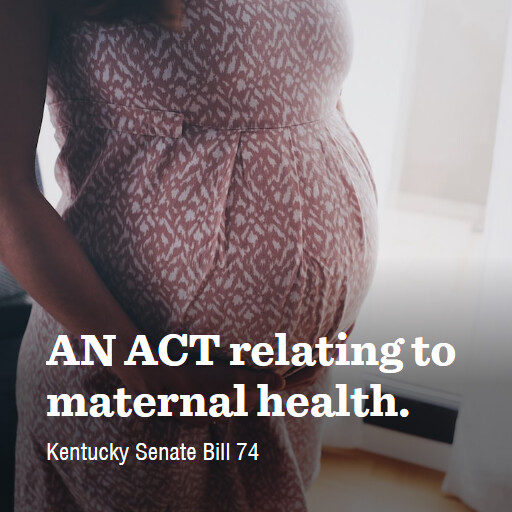KY SB74 2024RS AN ACT relating to maternal health