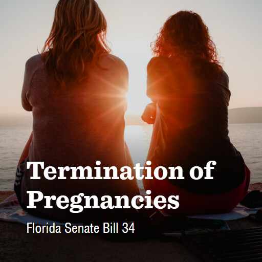 FL SB34 2024 Termination of Pregnancies