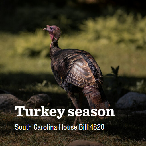 SC H4820 2023 2024 Turkey season