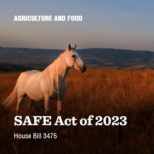 H.R.3475 118 SAFE Act of 2023 4