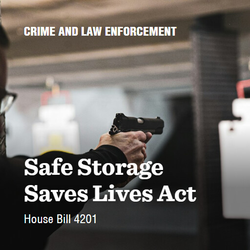 H.R.4201 118 Safe Storage Saves Lives Act 2
