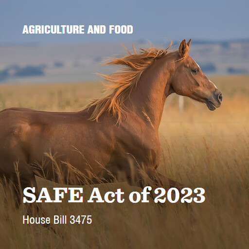 H.R.3475 118 SAFE Act of 2023