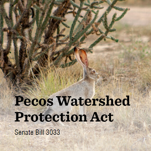 S.3033 118 Pecos Watershed Protection Act