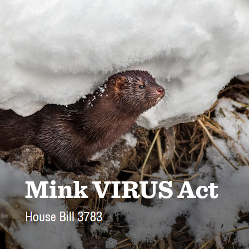 H.R.3783 118 Mink VIRUS Act 3
