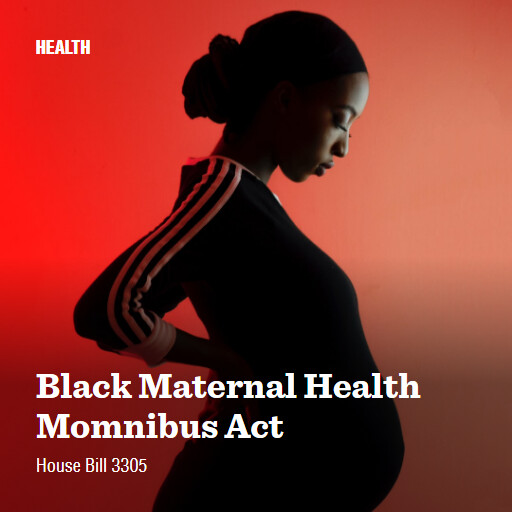 H.R.3305 118 Black Maternal Health Momnibus Act