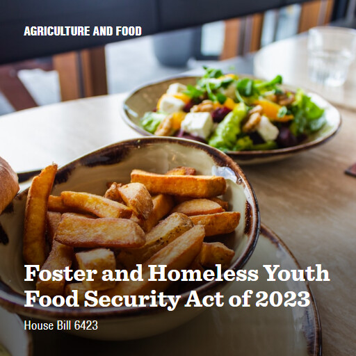 H.R.6423 118 Foster and Homeless Youth Food Security Act of 2023