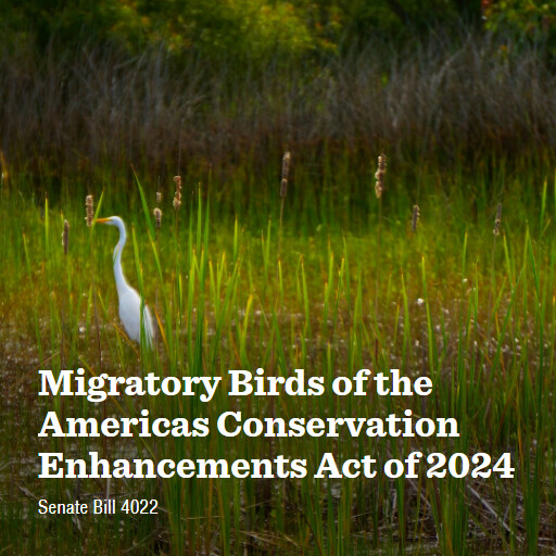 S.4022 118 Migratory Birds of the Americas Conservation Enhancements Act of 2024