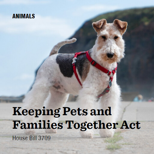 H.R.3709 118 Keeping Pets and Families Together Act 2