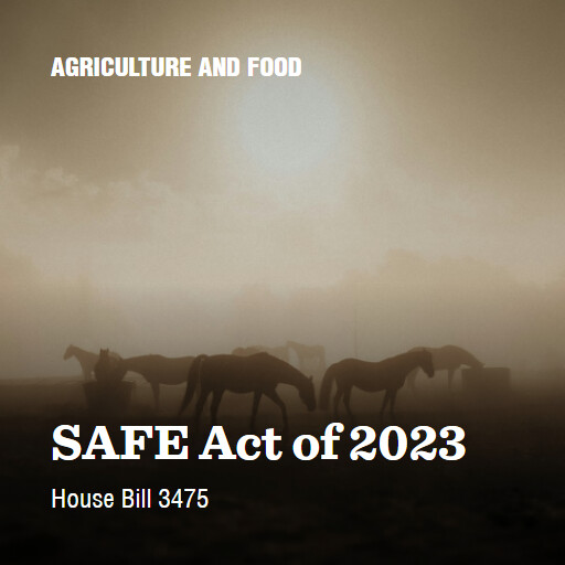 H.R.3475 118 SAFE Act of 2023 6