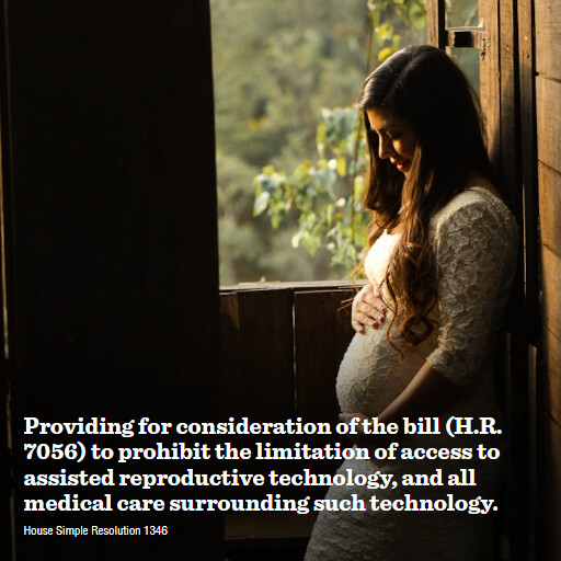 H.Res.1346 118 Providing for consideration of the bill HR 7056 to prohibit the limitation of access to as