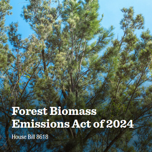 H.R.8618 118 Forest Biomass Emissions Act of 2024