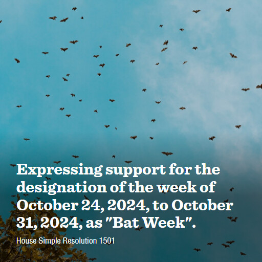 H.Res.1501 118 Expressing support for the designation of the week of October 24 2024 to October 31 2024 a