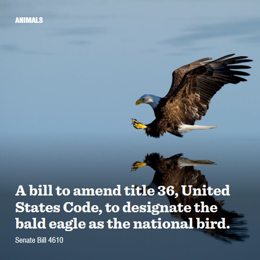 S.4610 118 A bill to amend title 36 United States Code to designate the bald eagle as the national bi