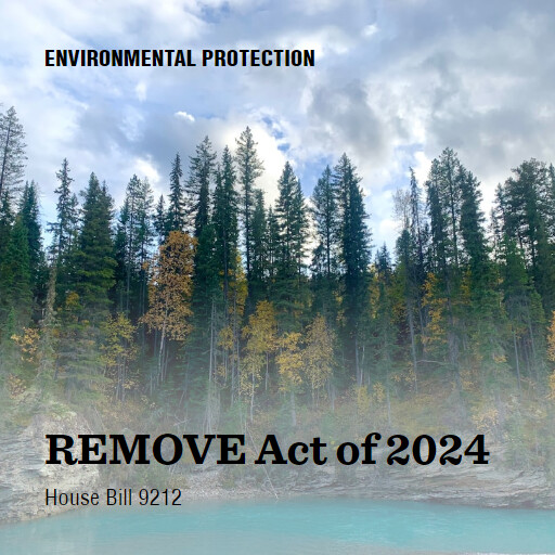 H.R.9212 118 REMOVE Act of 2024