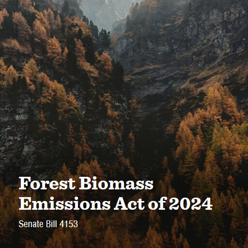 S.4153 118 Forest Biomass Emissions Act of 2024