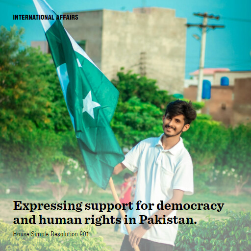 H.Res.901 118 Expressing support for democracy and human rights in Pakistan 2