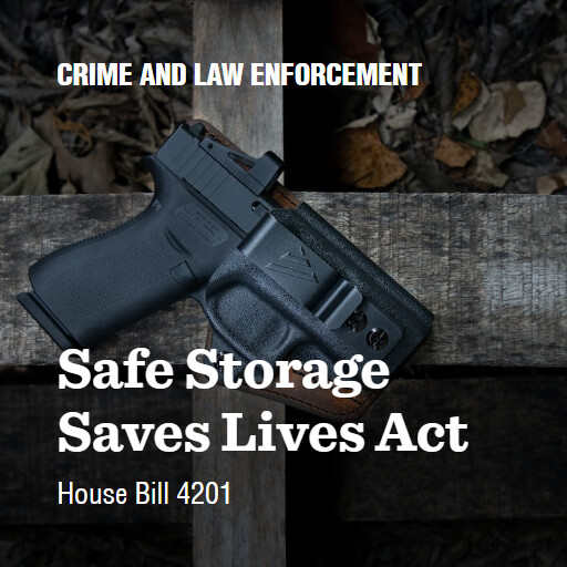 H.R.4201 118 Safe Storage Saves Lives Act