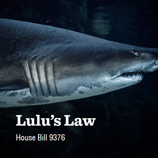 H.R.9376 118 Lulus Law