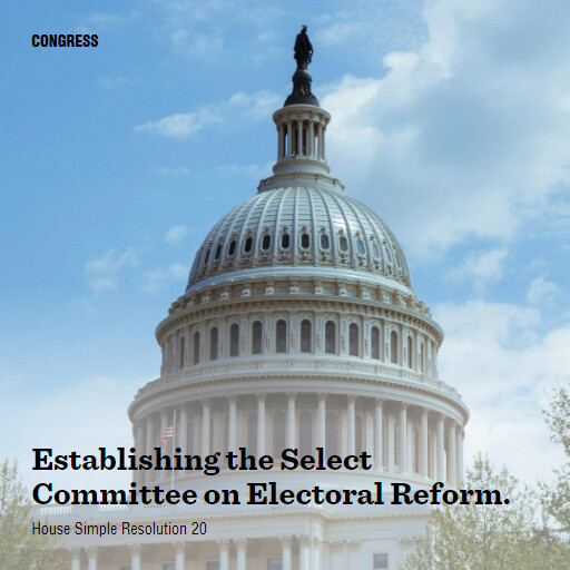 H.Res.20 119 Establishing the Select Committee on Electoral Reform