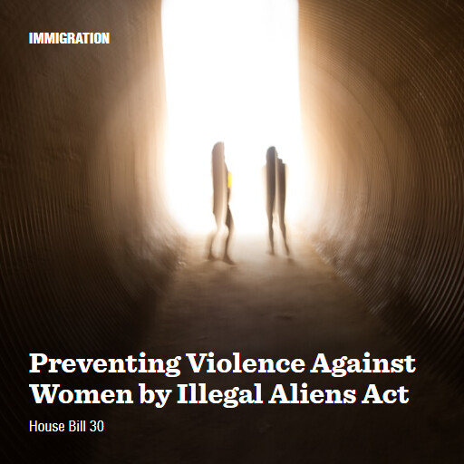 H.R.30 119 Preventing Violence Against Women by Illegal Aliens Act