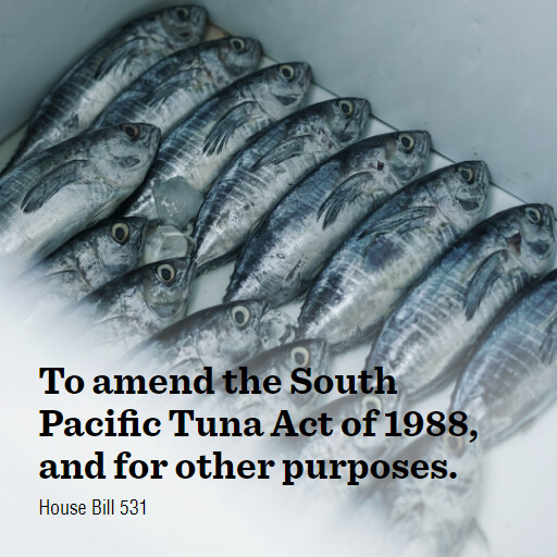 H.R.531 119 To amend the South Pacific Tuna Act of 1988 and for other purposes