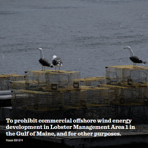 H.R.674 119 To prohibit commercial offshore wind energy development in Lobster Management Area 1 in th