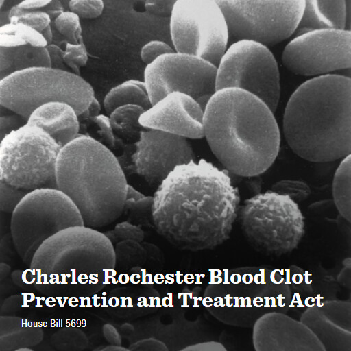 H.R.5699 118 Charles Rochester Blood Clot Prevention and Treatment Act
