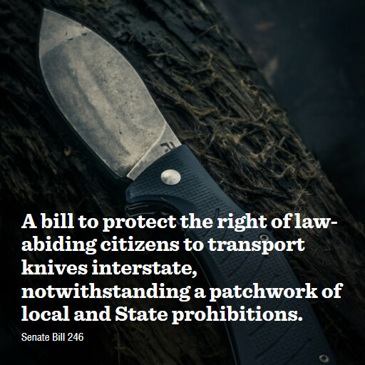 S.246 119 A bill to protect the right of lawabiding citizens to transport knives interstate notwiths