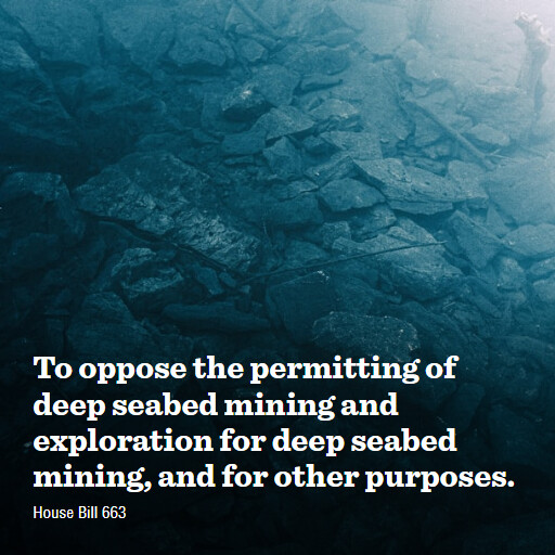 H.R.663 119 To oppose the permitting of deep seabed mining and exploration for deep seabed mining and 