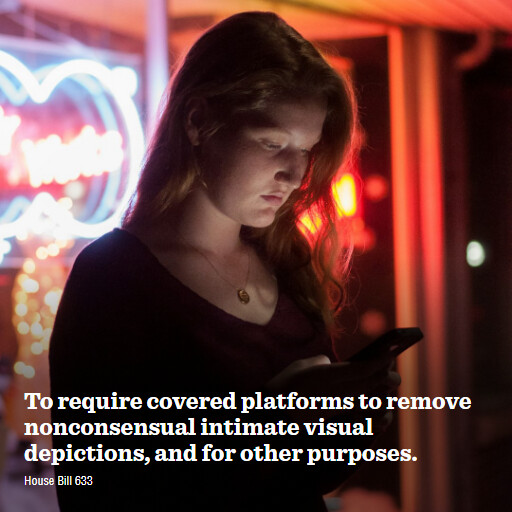 H.R.633 119 To require covered platforms to remove nonconsensual intimate visual depictions and for ot