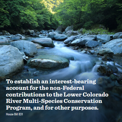 H.R.831 119 To establish an interestbearing account for the nonFederal contributions to the Lower Colo