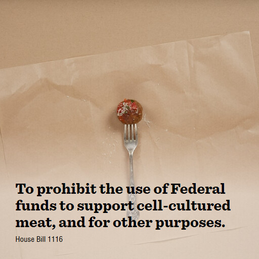 H.R.1116 119 To prohibit the use of Federal funds to support cellcultured meat and for other purposes