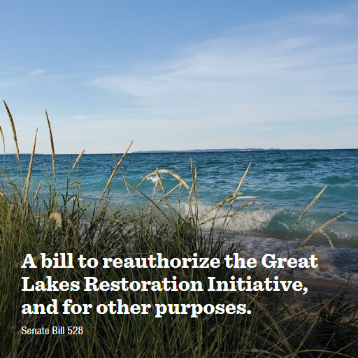 S.528 119 A bill to reauthorize the Great Lakes Restoration Initiative and for other purposes