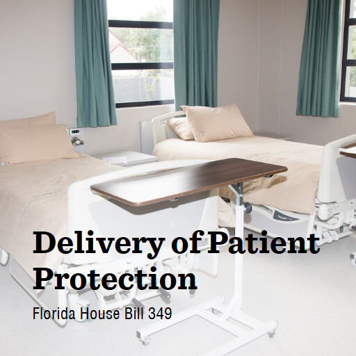 FL HB349 2025 Delivery of Patient Protection