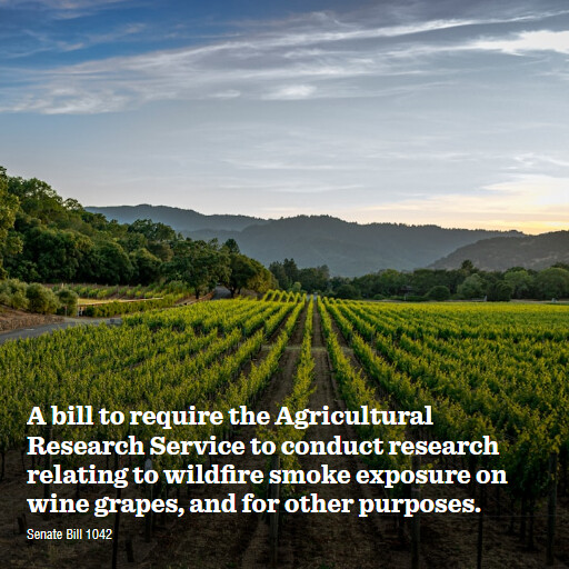 S.1042 119 A bill to require the Agricultural Research Service to conduct research relating to wildfi