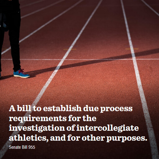 S.955 119 A bill to establish due process requirements for the investigation of intercollegiate athl