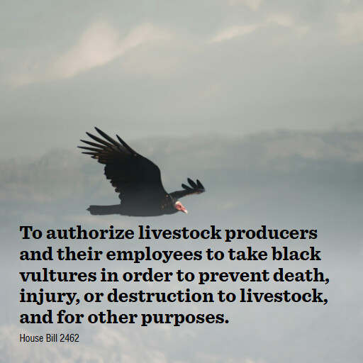 H.R.2462 119 To authorize livestock producers and their employees to take black vultures in order to pr