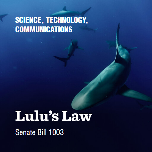 S.1003 119 Lulus Law