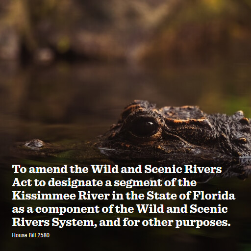 H.R.2580 119 To amend the Wild and Scenic Rivers Act to designate a segment of the Kissimmee River in t