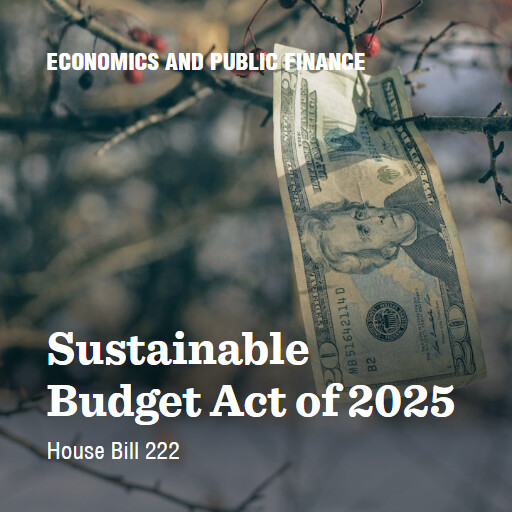 H.R.222 119 Sustainable Budget Act of 2025