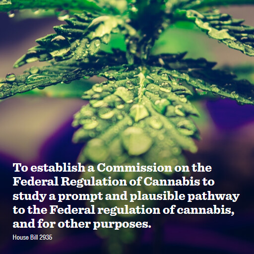 H.R.2935 119 To establish a Commission on the Federal Regulation of Cannabis to study a prompt and plau