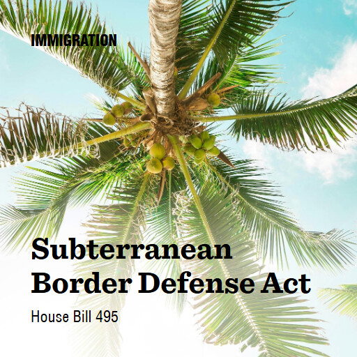 H.R.495 119 Subterranean Border Defense Act