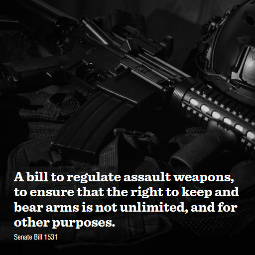 S.1531 119 A bill to regulate assault weapons to ensure that the right to keep and bear arms is not u