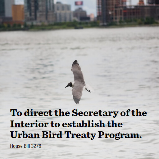 H.R.3276 119 To direct the Secretary of the Interior to establish the Urban Bird Treaty Program