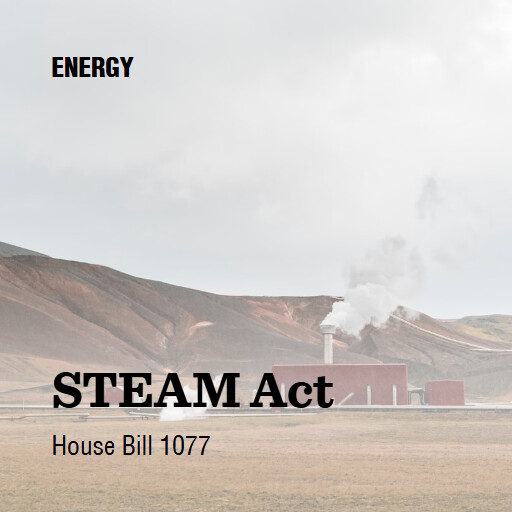 H.R.1077 119 STEAM Act