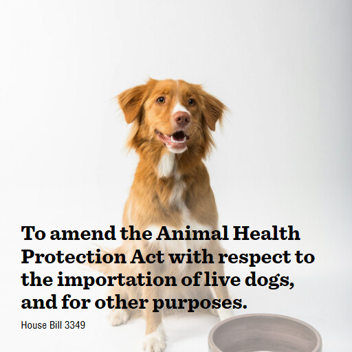 H.R.3349 119 To amend the Animal Health Protection Act with respect to the importation of live dogs and