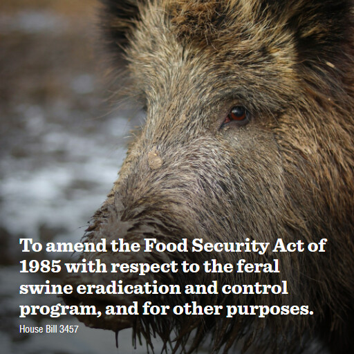 H.R.3457 119 To amend the Food Security Act of 1985 with respect to the feral swine eradication and con