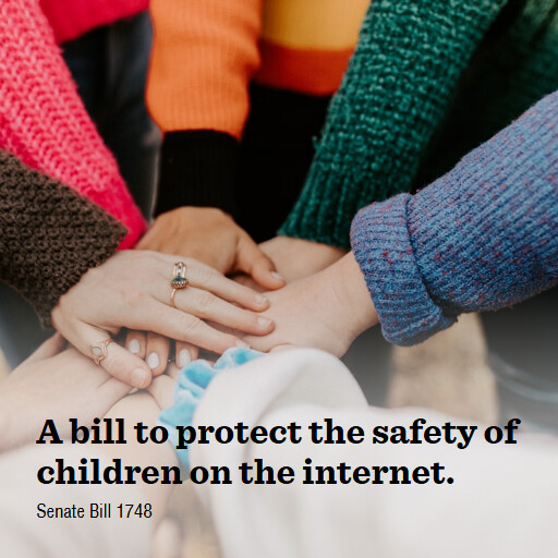 S.1748 119 A bill to protect the safety of children on the internet